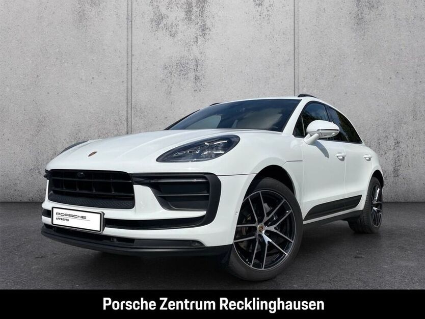 Macan