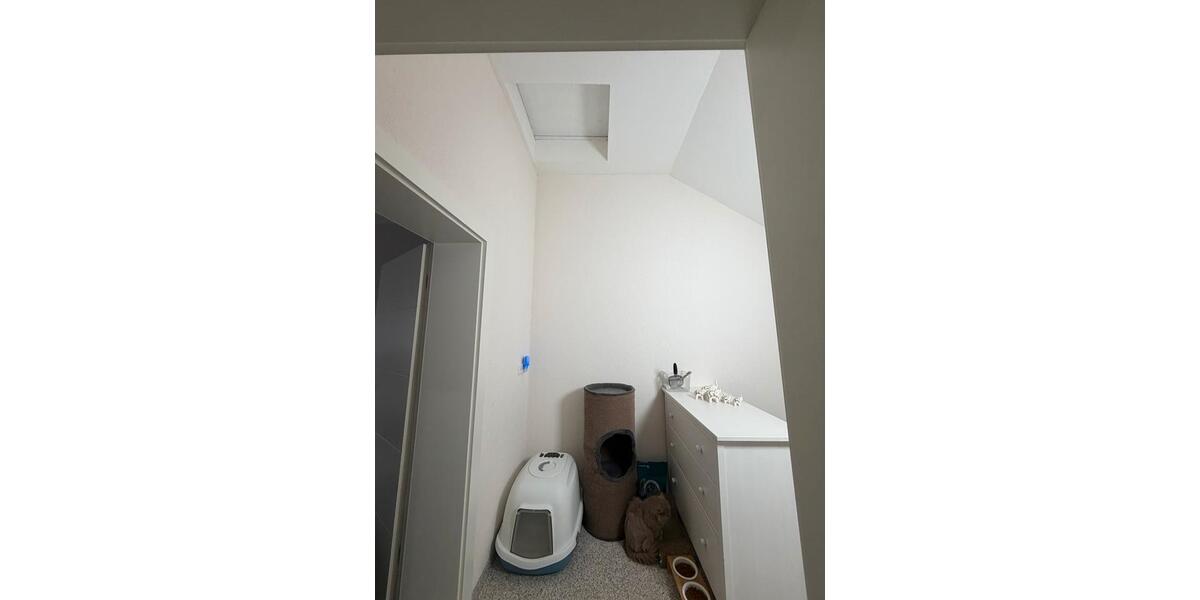 Reihenhaus Gladbeck Alt-Rentfort - 4 Zimmer, 64 m&sup2;, 2.240&euro; | Angebot:26283578