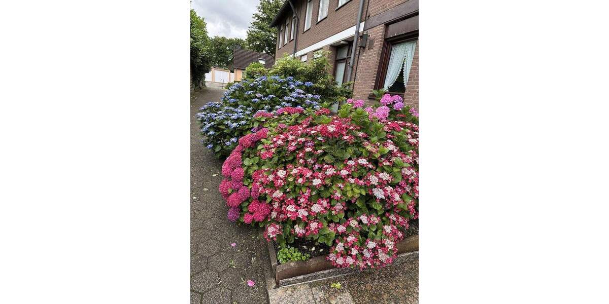 Ankommen. Wohlfühlen. Zuhause sein. - Reihenendhaus in Essen-Schonnebeck 5 zimmer