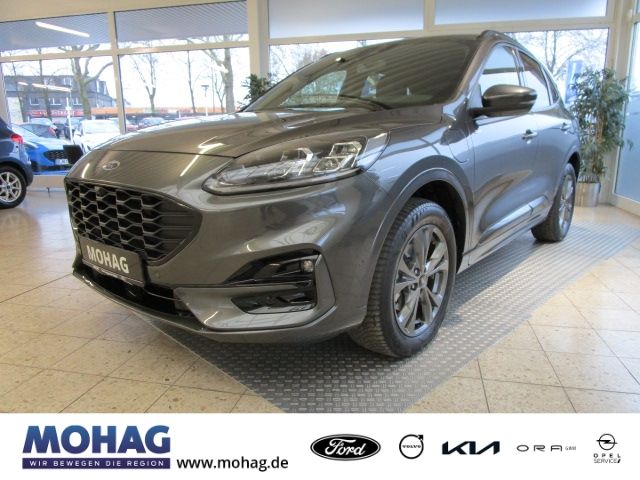 Kuga