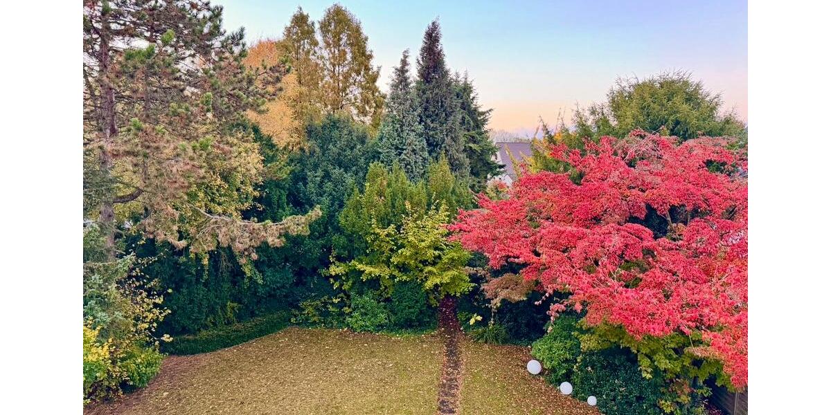 Traumhafte Dachgeschosswohnung in guter Lage von Gladbeck 2 zimmer