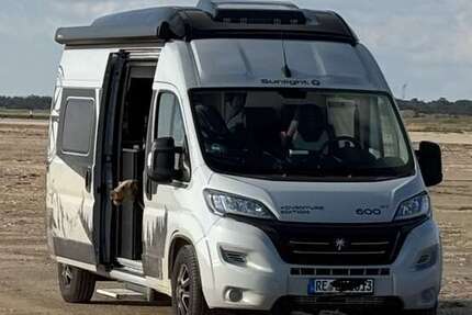 Fiat Ducato 16.800 km 59.999 € Datteln 45711