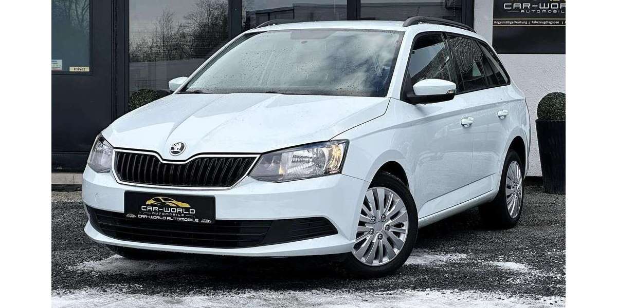 Skoda Fabia 118.500 km 8.599 &euro; Duisburg 47167