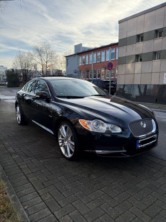 XF