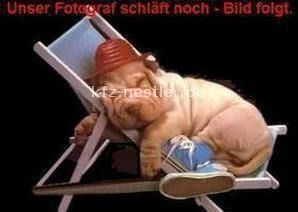 VW Tiguan 21.900 km 50.900 € Essen 45134