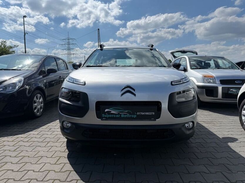 C4 Cactus