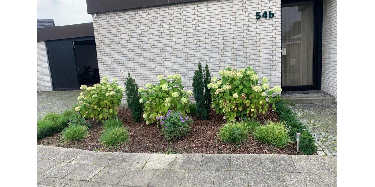 Erdgeschoßwohnung Herne Altenhöfen - 2 Zimmer, 59 m&sup2;, 700&euro; | Angebot:26122626