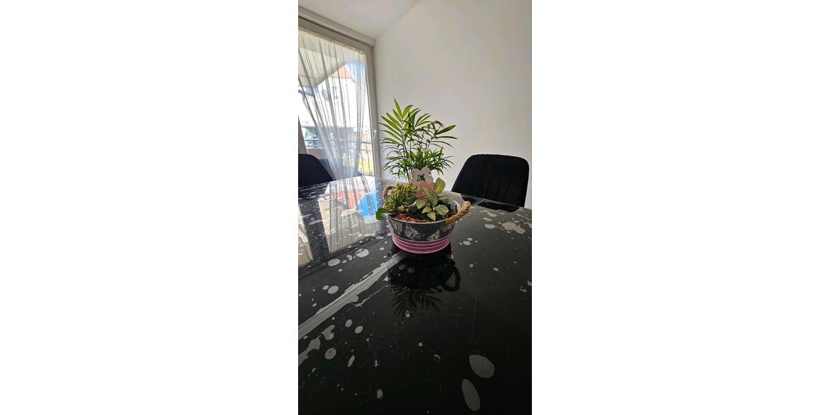 Reihenhaus Duisburg Rheinhausen - 5 Zimmer, 110 m&sup2;, 275.900&euro; | Angebot:24866346