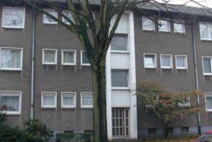 Bringen Sie Ihr Herz mit, es wird sich wohlfühlen! 2.5 zimmer