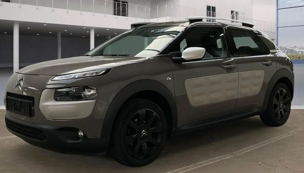 C4 Cactus