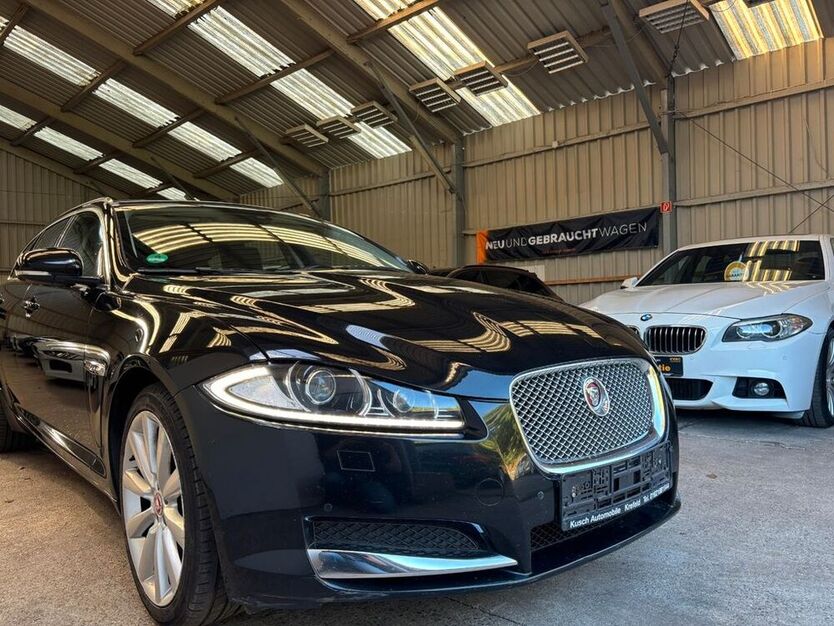 XF