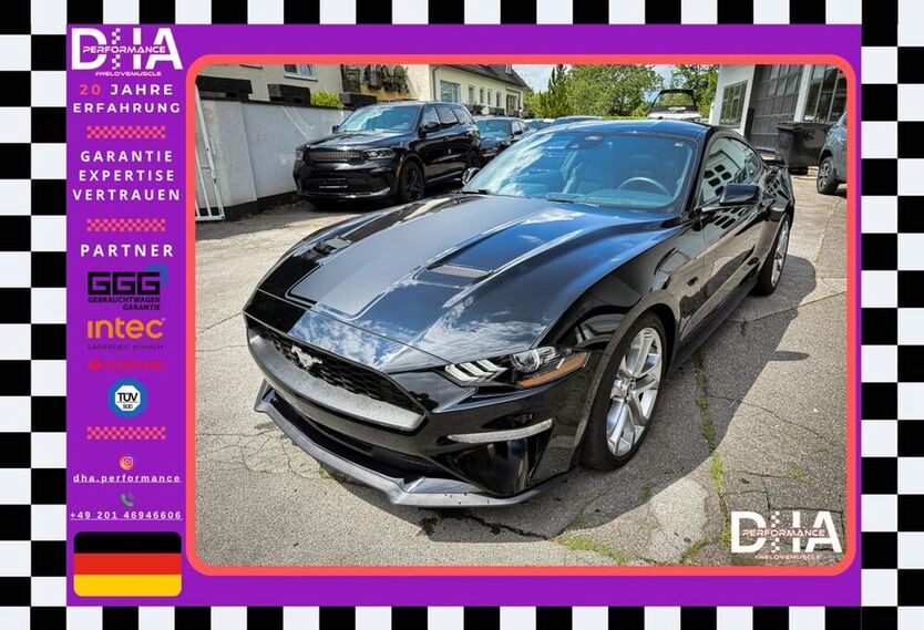 Mustang