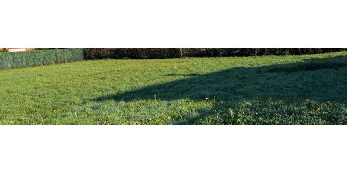 Traumgrundstück im Grünen! zimmer