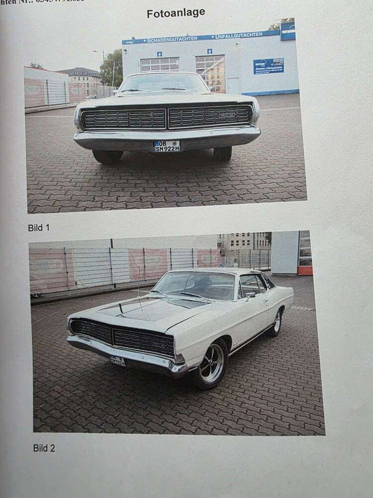 Mustang