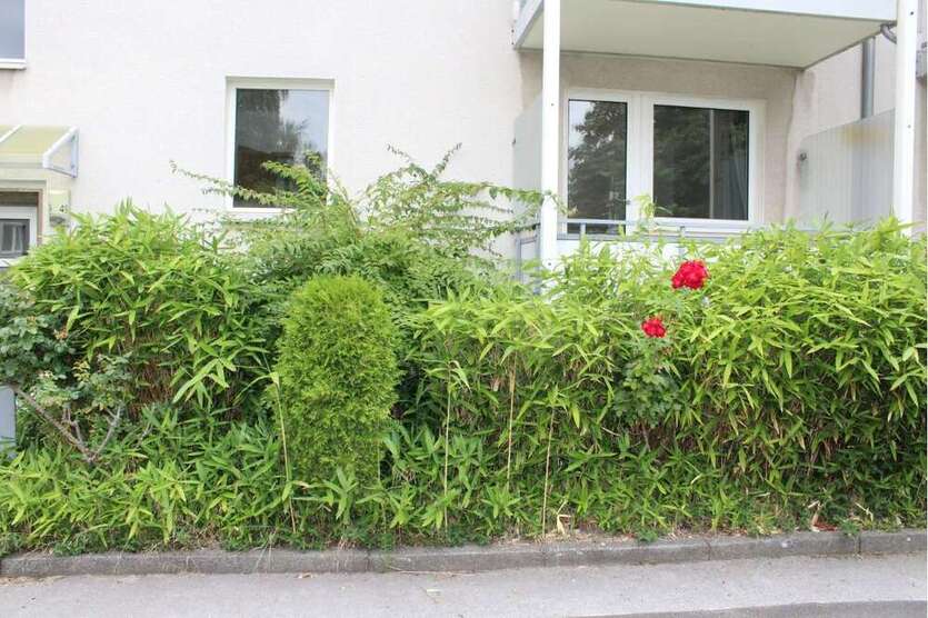 Wohnung zum Kaufen in Düsseldorf 238.500 € 59.03 m²