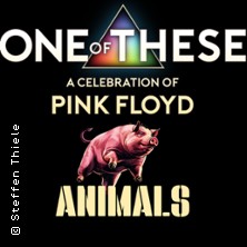 One Of These – A celebration of Pink Floyd / Animals Tour 25.04.2026 Kulturhalle Neukirchen-Vluyn