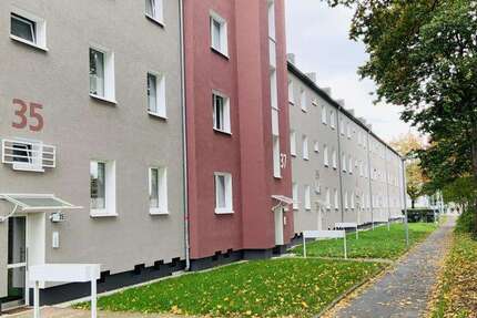Wohnung Bochum Hiltrop - 3 Zimmer, 48 m&sup2;, 409&euro; | Angebot:27722993