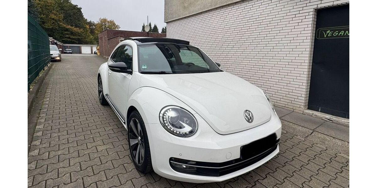 VW Beetle 140.000 km 7.990 &euro; Essen 45143