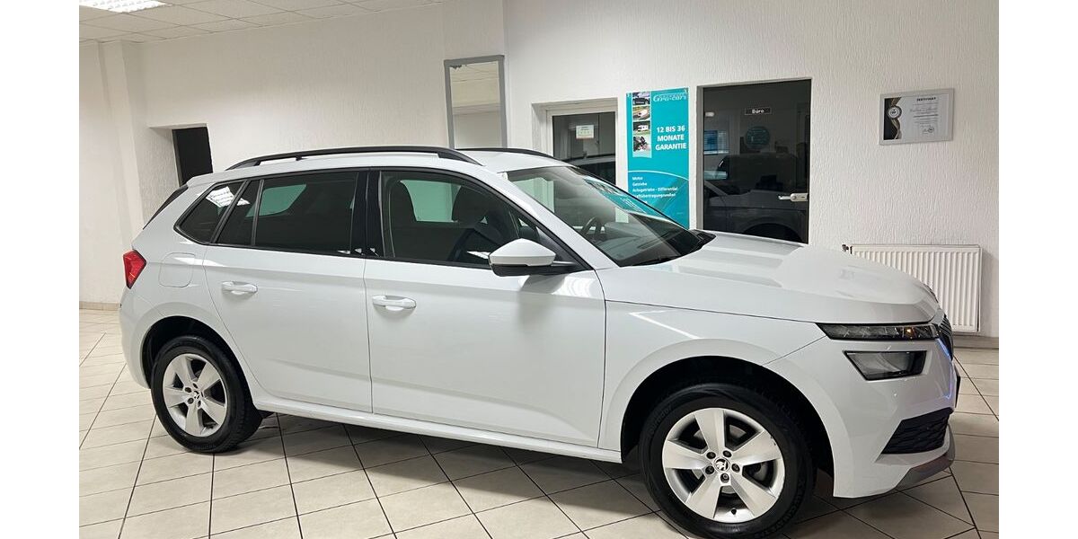 Skoda Kamiq 66.382 km 18.499 &euro; Voerde 46562