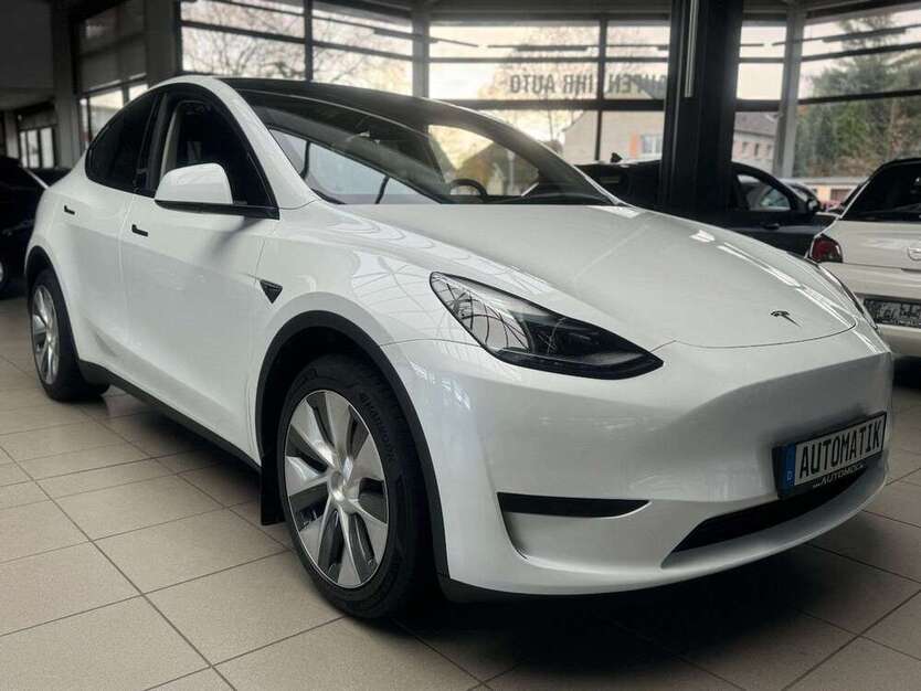 Model Y