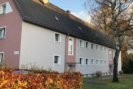 Vier Wände zum Wohlfühlen. zimmer