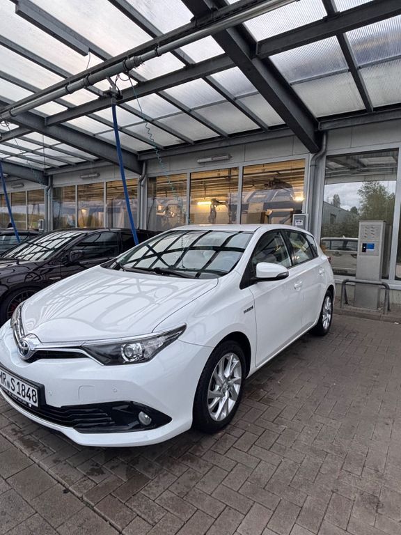 Auris