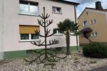 Mehrfamilienhaus, Wohnhaus Recklinghausen Süd - 1 Zimmer, 153 m&sup2;, 320.000&euro; | Angebot:25801784