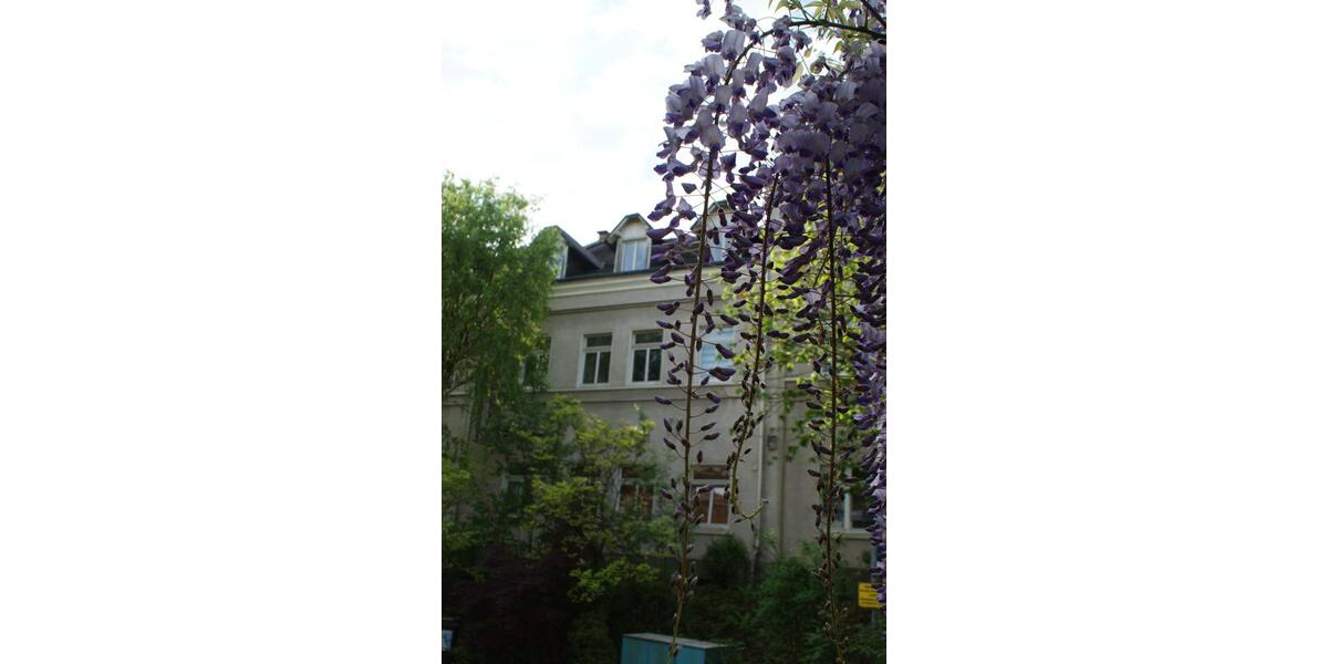 Stilvolle Eigentumswohnung in historischem Schulgebäude 2.5 zimmer