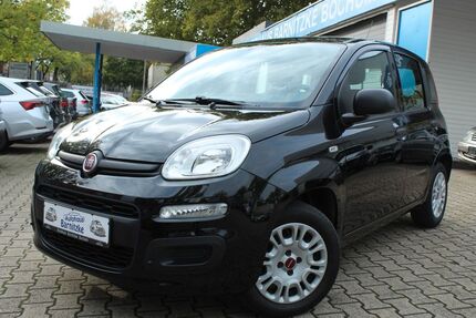 Fiat Panda 71.380 km 8.490 € Bochum 44866
