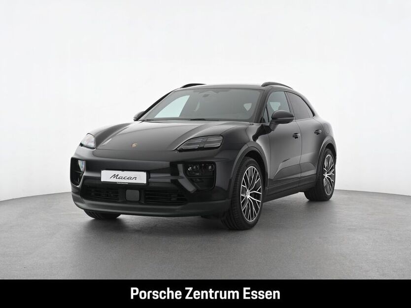 Macan