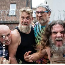 Hayseed Dixie Düsseldorf