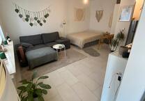 1 Zimmer Wohnung mit Terasse