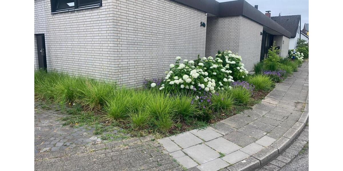 Erdgeschoßwohnung Herne Altenhöfen - 2 Zimmer, 59 m&sup2;, 700&euro; | Angebot:26122626