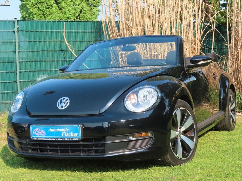 Beetle