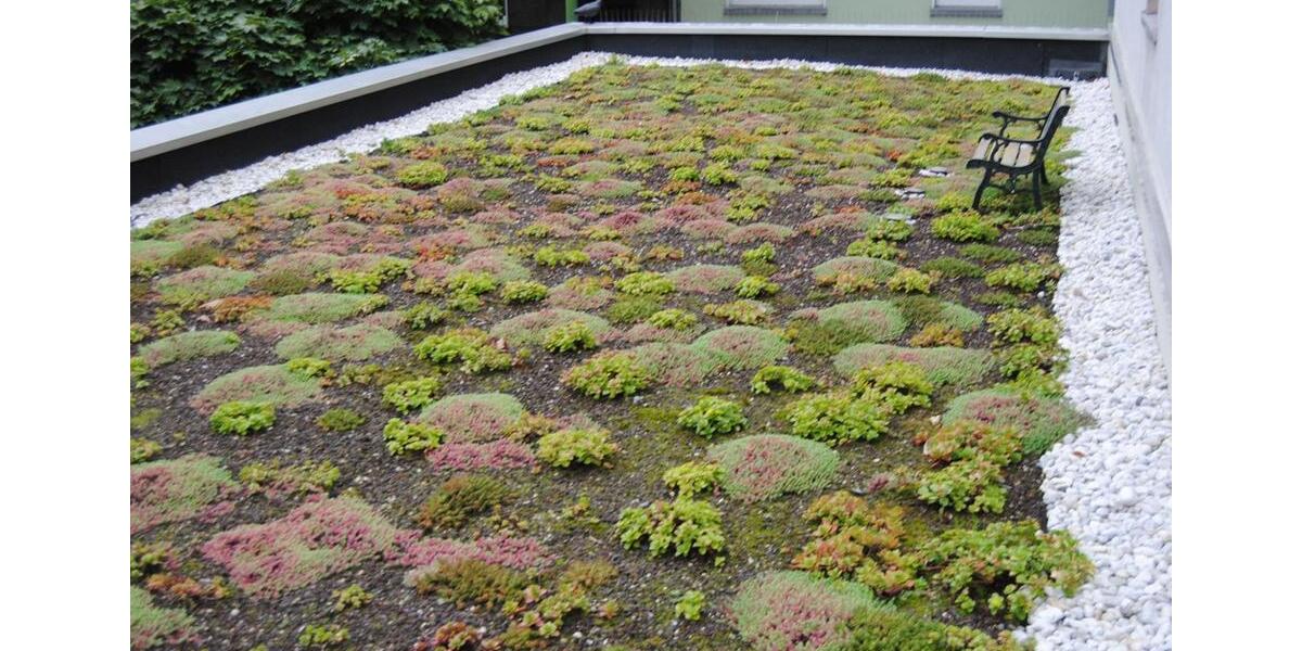 Maisonettenwohnung Essen Stadtbezirk III - 5 Zimmer, 154 m&sup2;, 495.500&euro; | Angebot:26313051