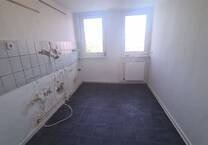 2,5 Zimmer Wohnung sucht nette Mieter