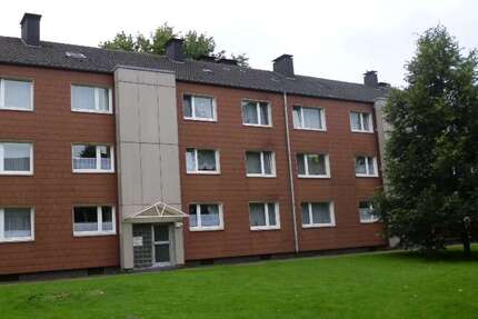 Wohnung zum Mieten in Herne 645 € 75 m² 3 zimmer