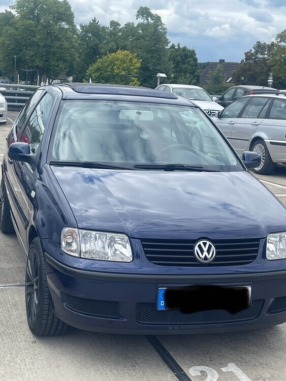 Polo