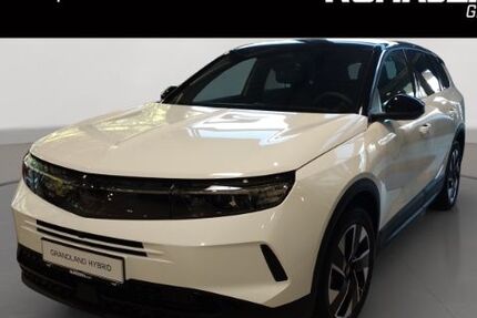 Opel Grandland (X) 8.990 km 34.990 € Duisburg 47059