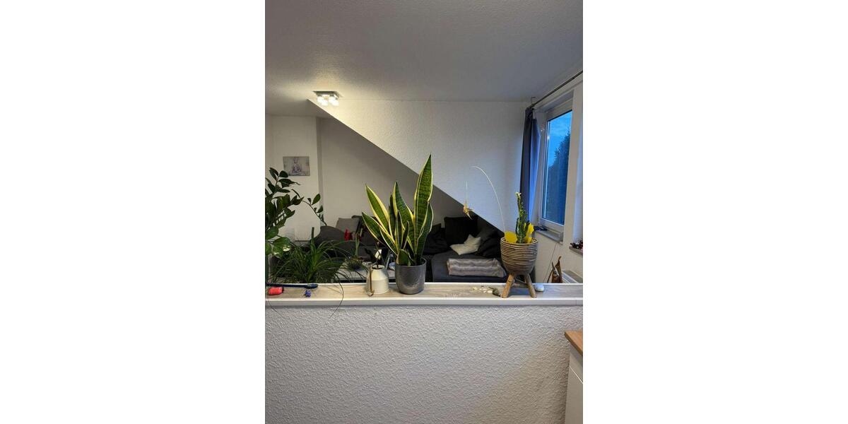 Dachgeschoßwohnung Gelsenkirchen Erle - 2 Zimmer, 38 m&sup2;, 330&euro; | Angebot:25144461