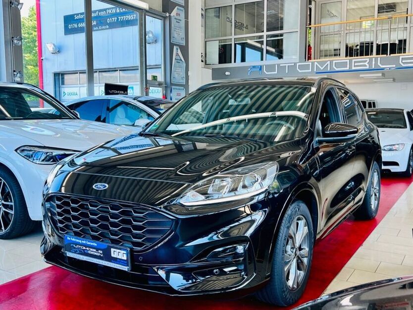 Kuga