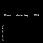 Shelter Boy