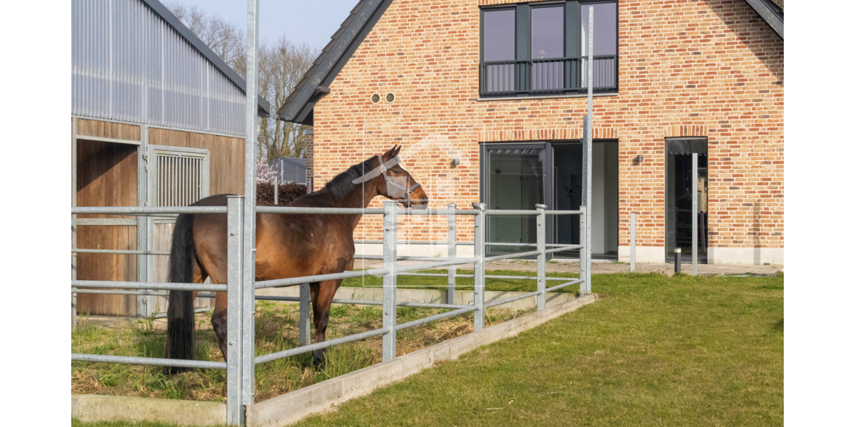 Einfamilienhaus Schermbeck - 7 Zimmer, 204 m&sup2;, 798.800&euro; | Angebot:25922550