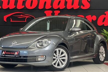 VW Beetle