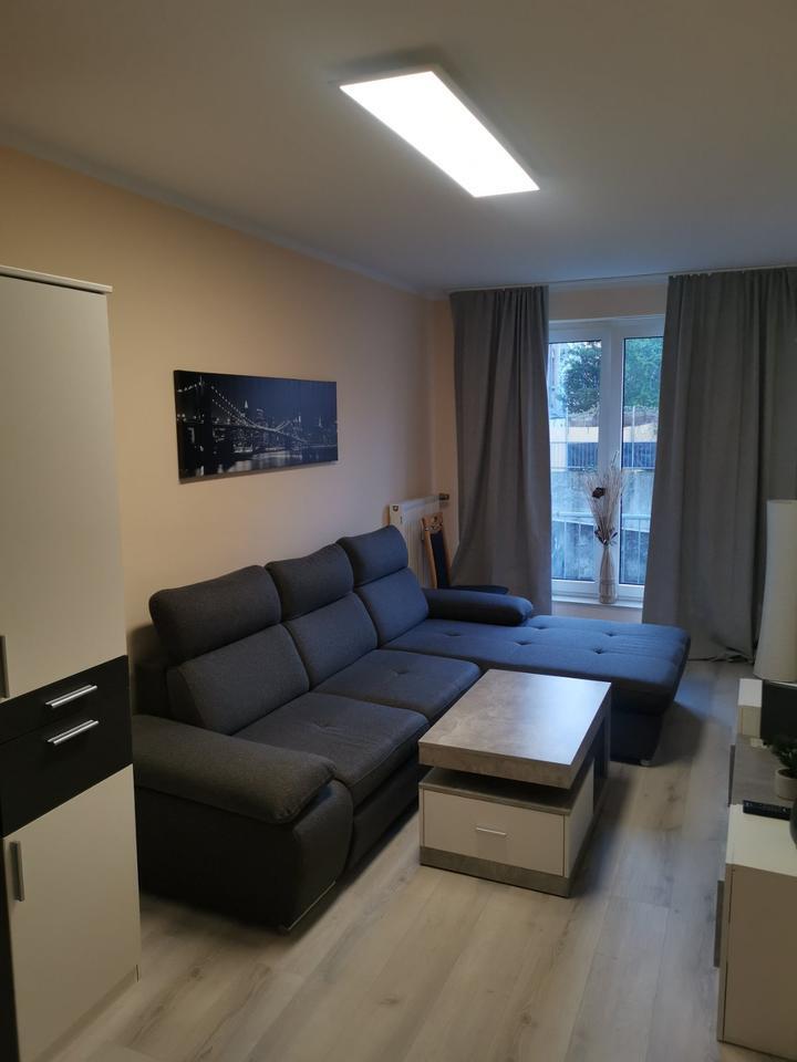 Wohnung zu vermieten zimmer