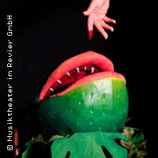Der kleine Horrorladen 28.06.2026 Musiktheater Kleines Haus