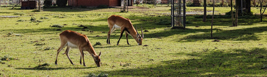 Freizeitpark Ketteler Hof Haltern am See
