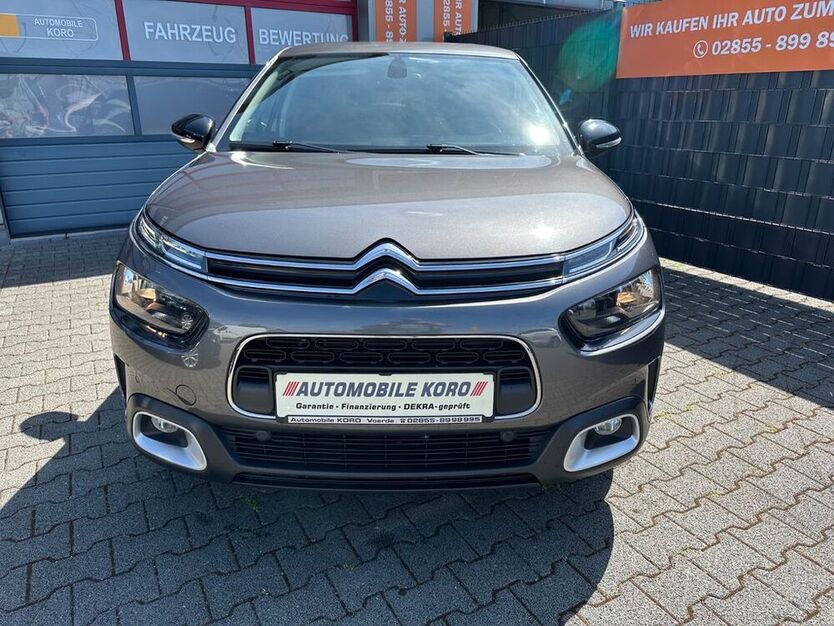 C4 Cactus