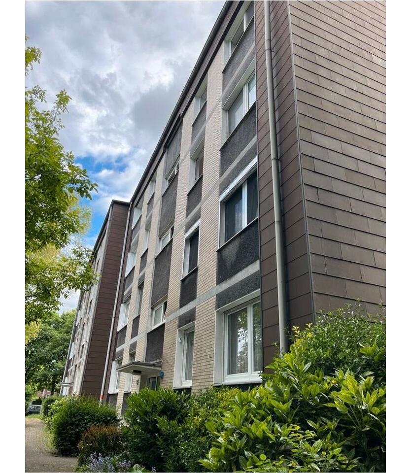 Wohnung zur Miete