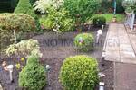 Mehrfamilienhaus, Wohnhaus Essen Schonnebeck - 549.000&euro; | Angebot:26310356